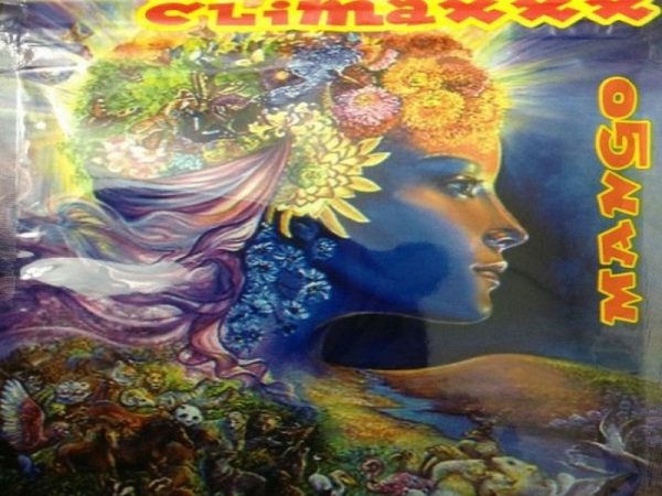 Down2Earth Climaxxx Herbal Incense